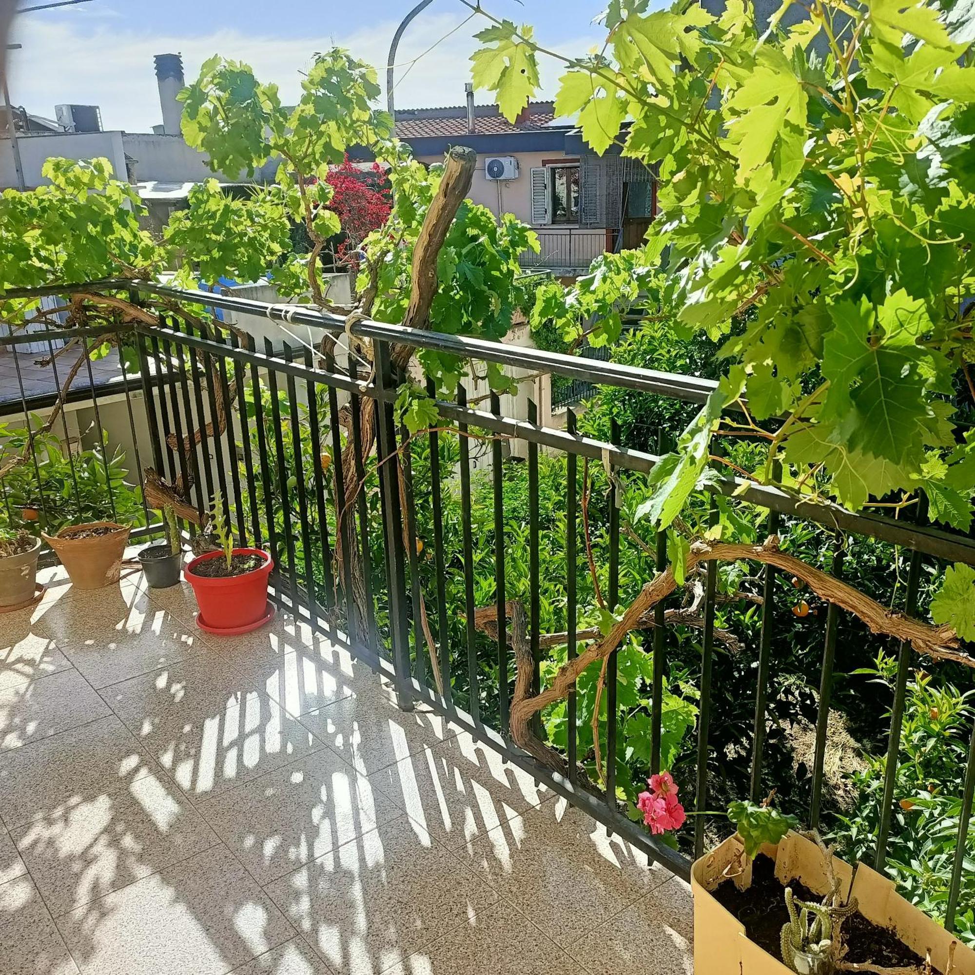 Janas House Daire Bari Sardo Dış mekan fotoğraf