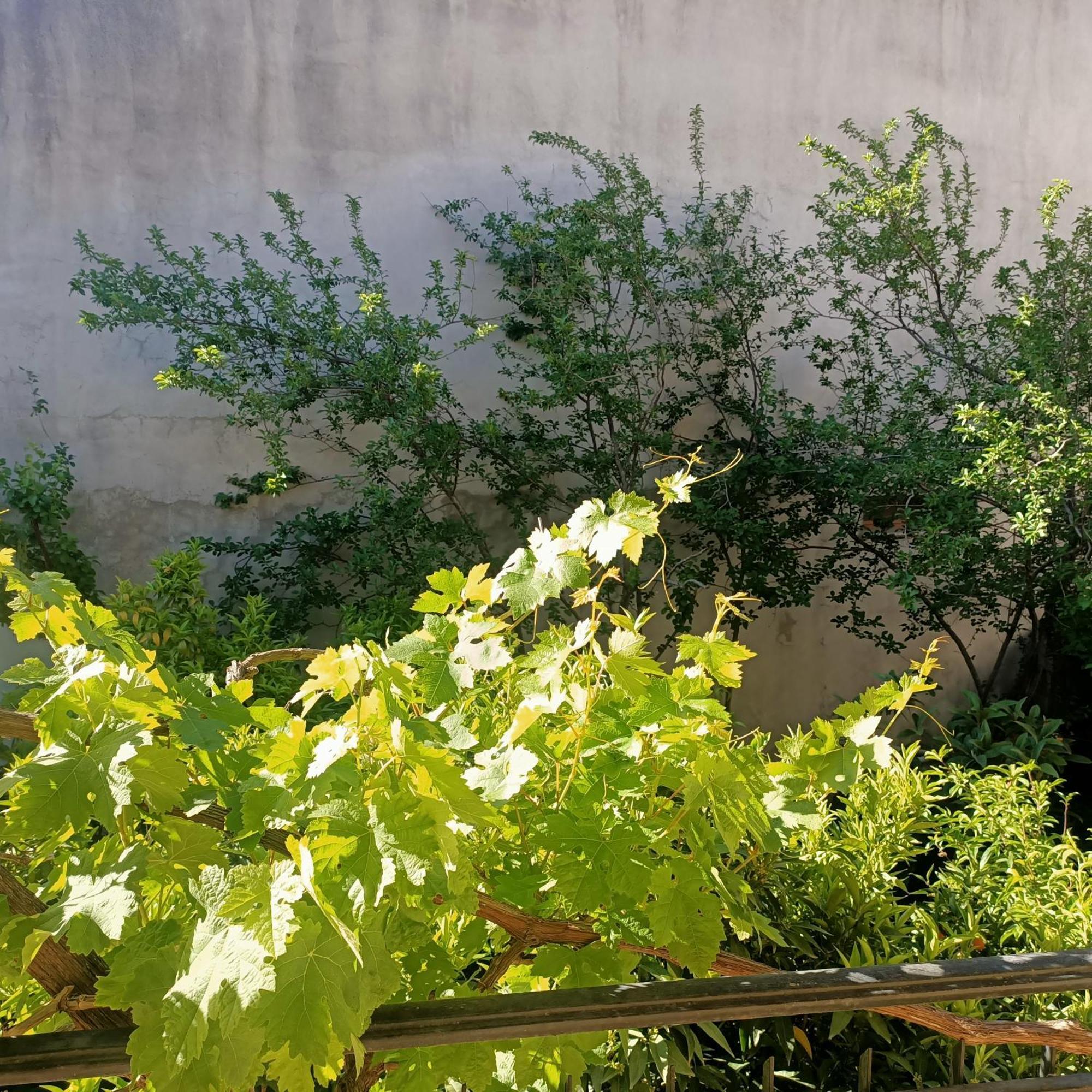 Janas House Daire Bari Sardo Dış mekan fotoğraf